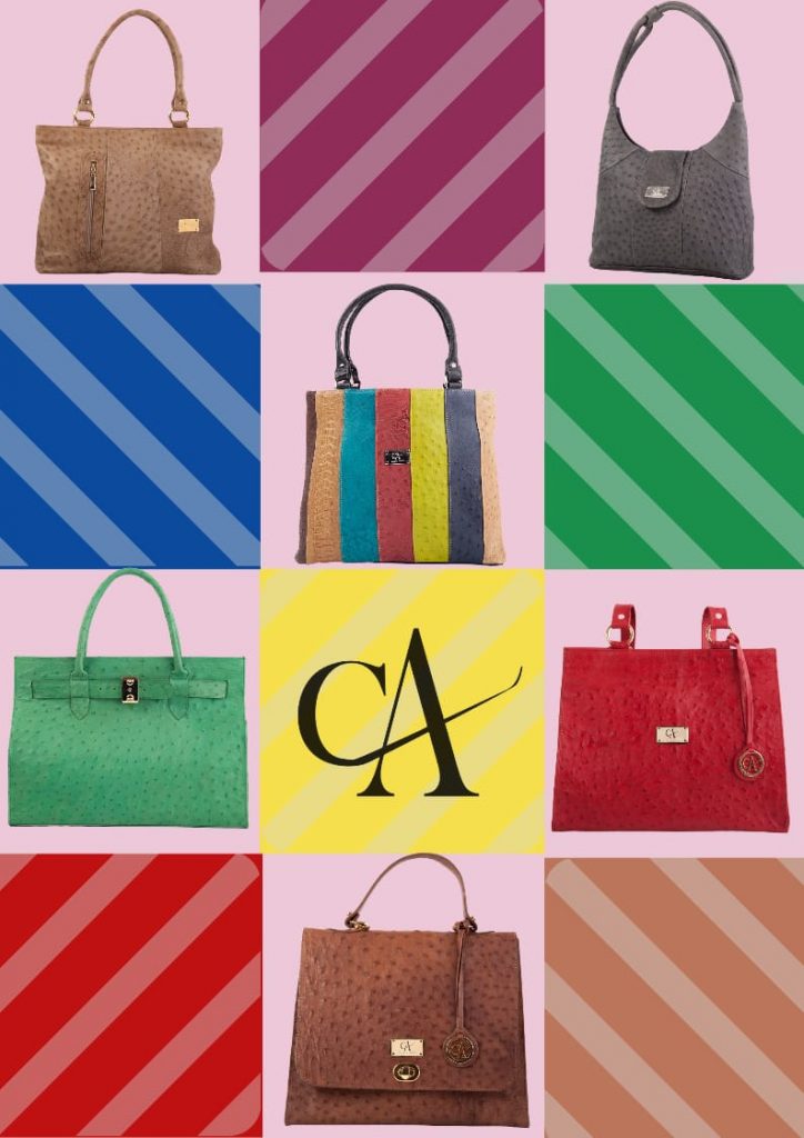 6 modelos de carteras Claudia Abarca ademas de mostrar colores azul verde rojo lila naranjo